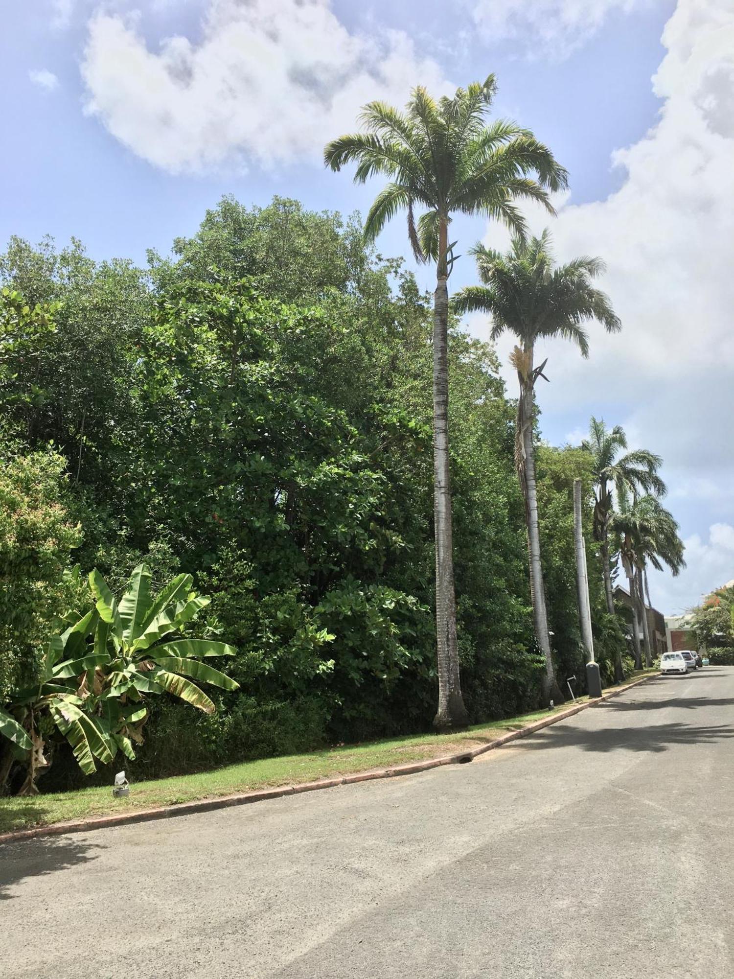 Appartement St Francois Manganao Guadeloupe Saint-Francois  Exterior foto